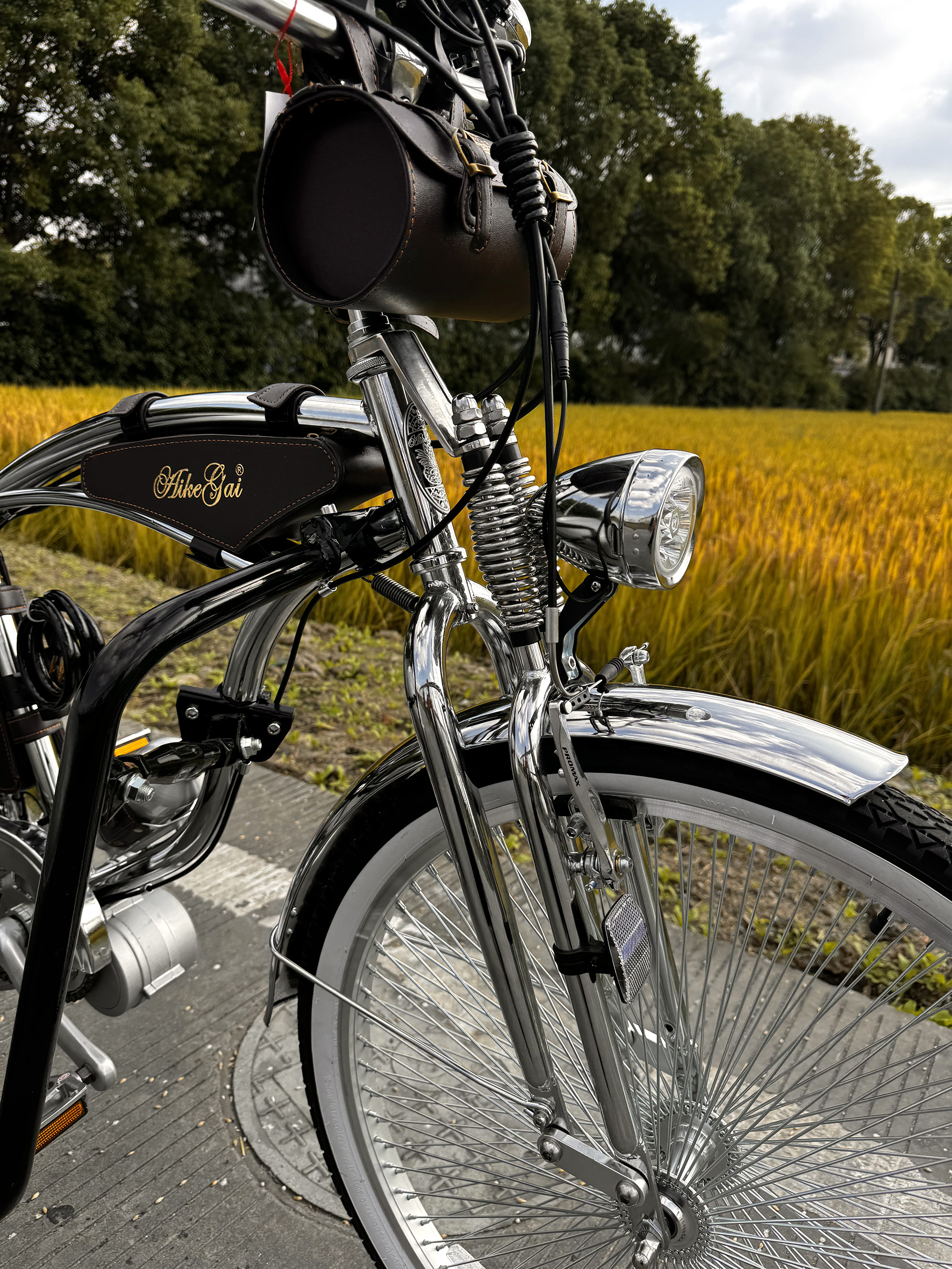 Vintage Cruiser Bike-With Sidecar Chrome
